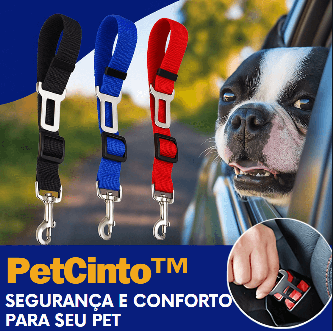 PetCinto™ - Segurança que acompanha cada passeio