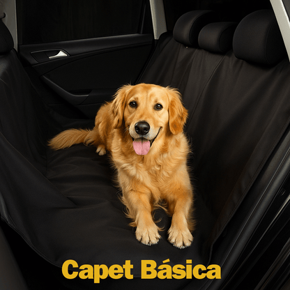 Capet™ - Seu carro limpo. Seu pet seguro