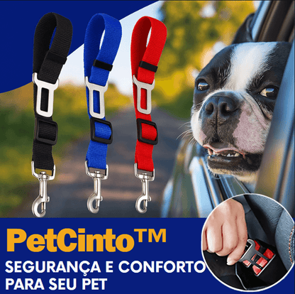 PetCinto™ - Segurança que acompanha cada passeio