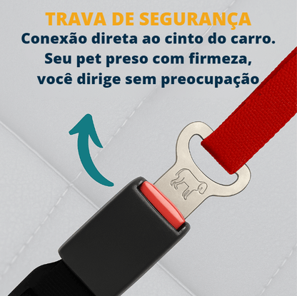 PetCinto™ - Segurança que acompanha cada passeio