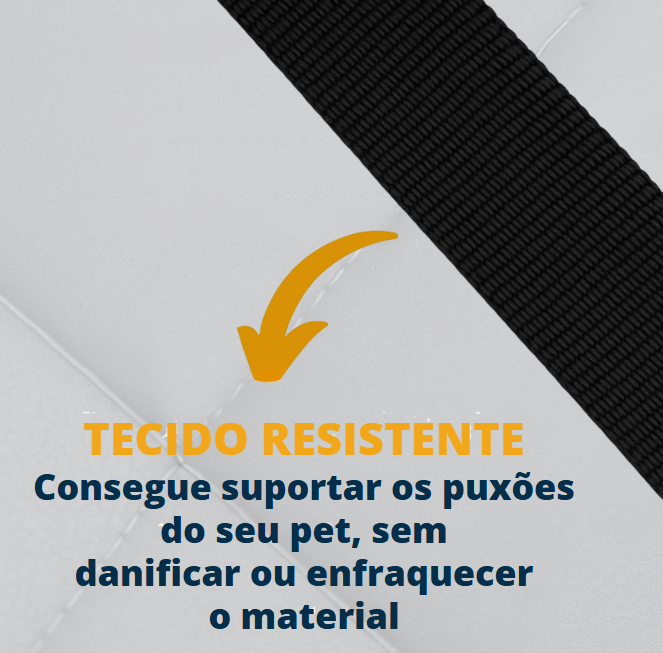 PetCinto™ - Segurança que acompanha cada passeio