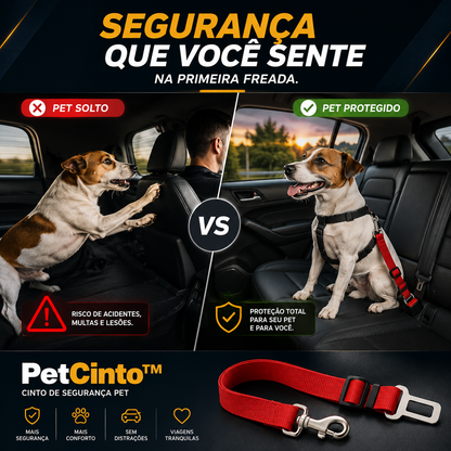 PetCinto™ - Segurança que acompanha cada passeio