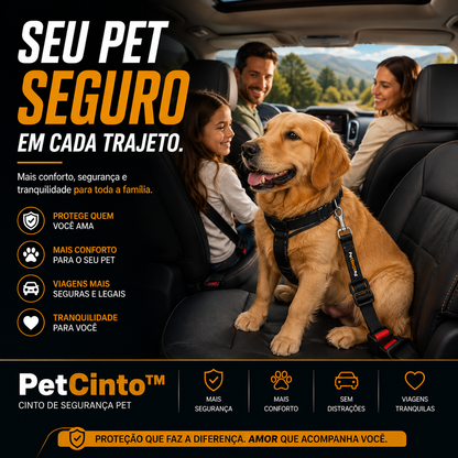 PetCinto™ - Segurança que acompanha cada passeio