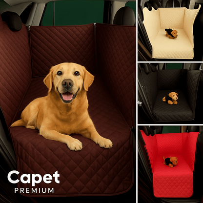 Capet™ - Seu carro limpo. Seu pet seguro
