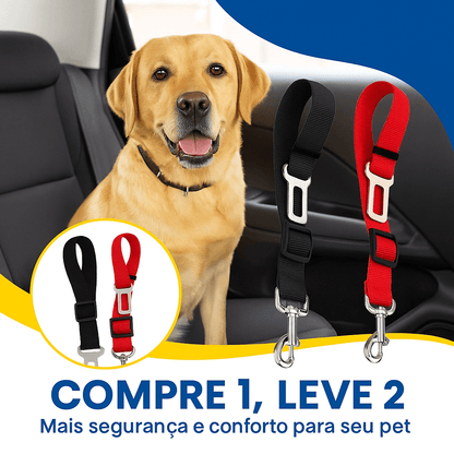 PetCinto™ - Segurança que acompanha cada passeio